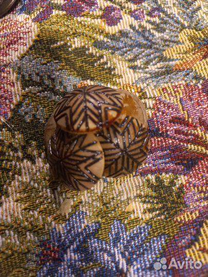 Пуговицы деревянные СССР