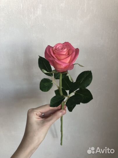 Розы из холодного фарфора