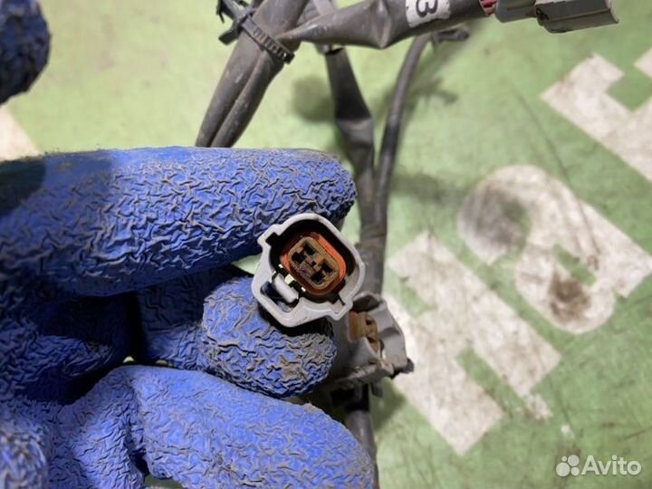 Проводка форсунок Infiniti G35 V35 VQ35DE 2003