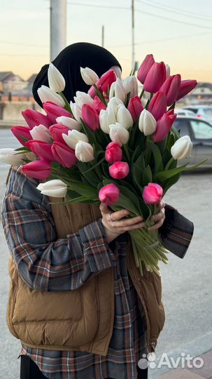 Тюльпаны опт и розница