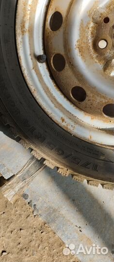 Nordman 5 175/65 R14