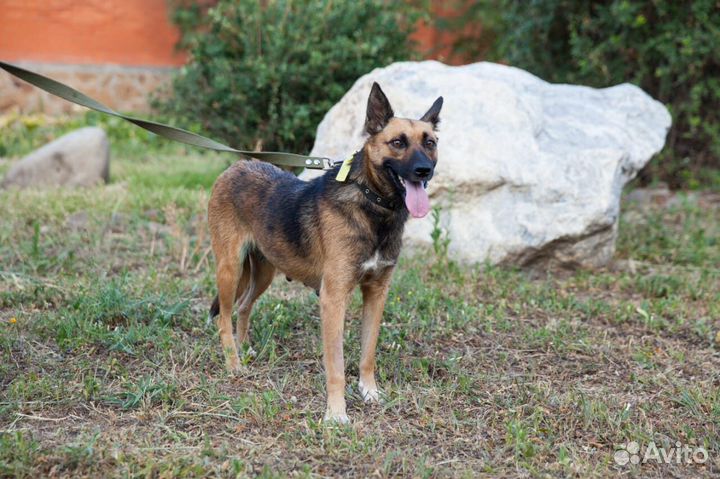 Помогите найти