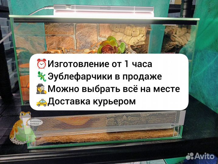 Террариум для эублефара 