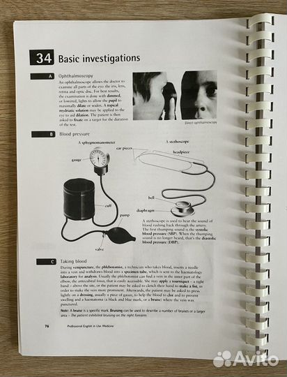 Professional English in Use