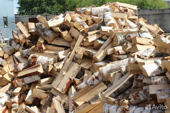 Колотая береза