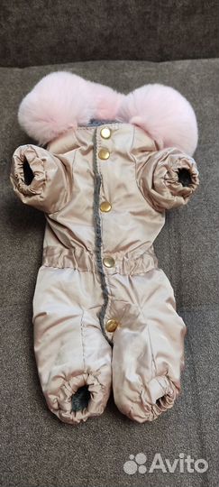 Зимний комбинезон для маленькой собаки