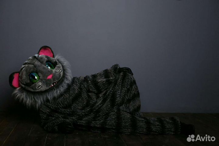Чешир костюм