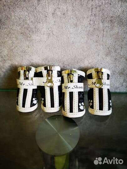 Ботиночки для собачки