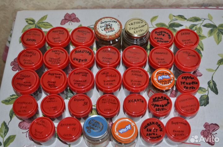 Семена табака