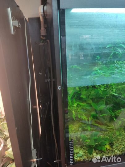 Аквариум с тумбой 500 литров