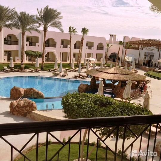 Новогодний Тур В Египет На Двоих Все включено