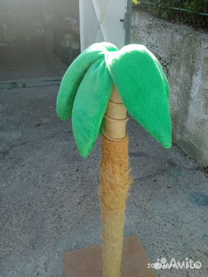 Ногти точка для кошек