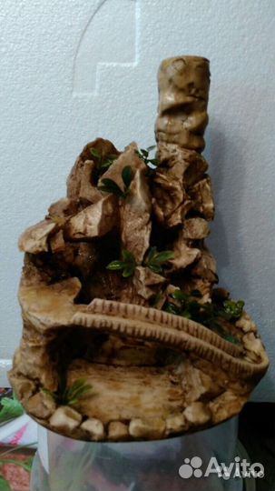 Всё для Аквариума