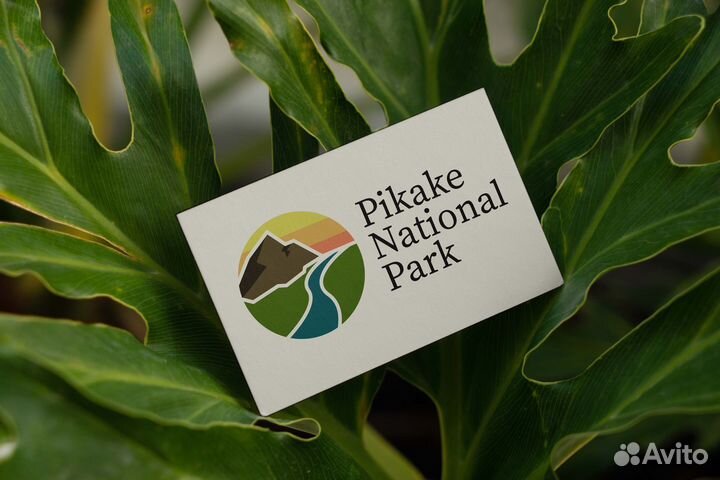 Графический дизайнер, визитки, брендинг, логотип