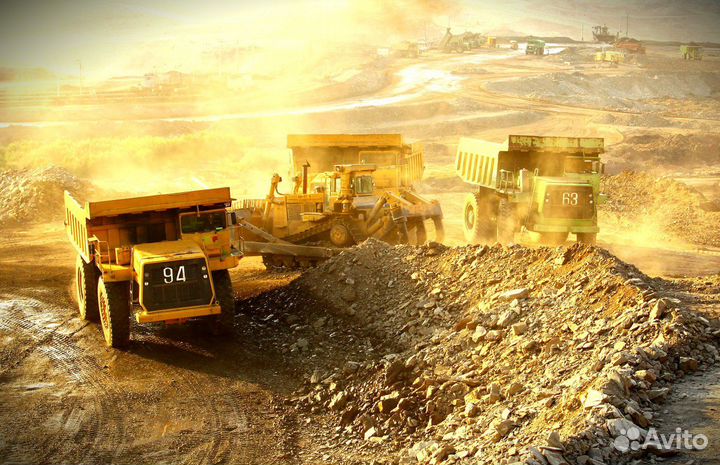 Главный технолог зиф