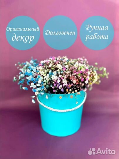 Гипсофила в коробке