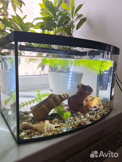 Аквариум 35-40л