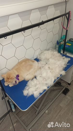 Груминг кошек и собак