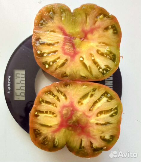 Семена коллекционных томатов