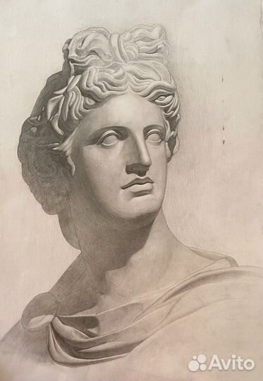 Репетитор по академическому рисунку