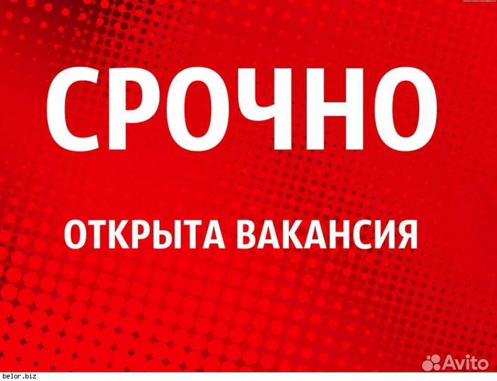 Грузчик-мерчандайзер (Касимов,ул. Советская)