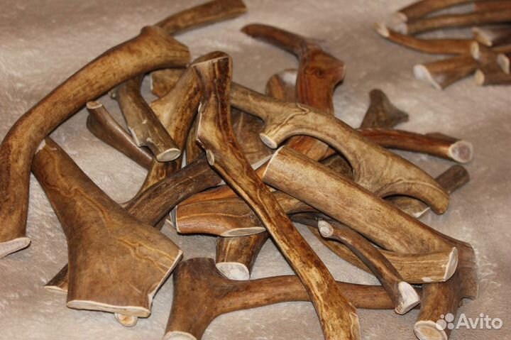 Натуральная еда для животных в Мурманске