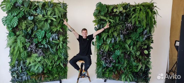 Аренда фотозоны из тропических растений