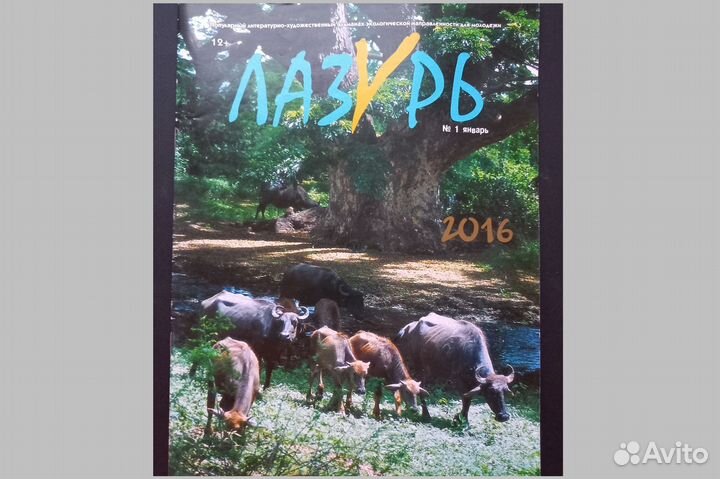 Детские журналы для школьников