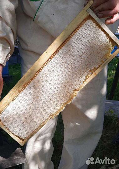 Липовый мед с семейной пасеки