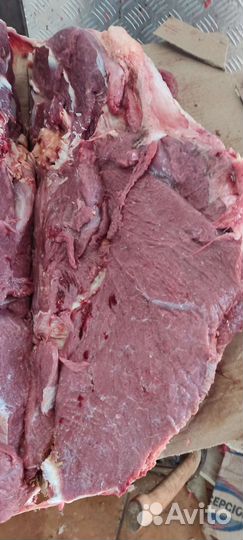 Мясо говядина для собак