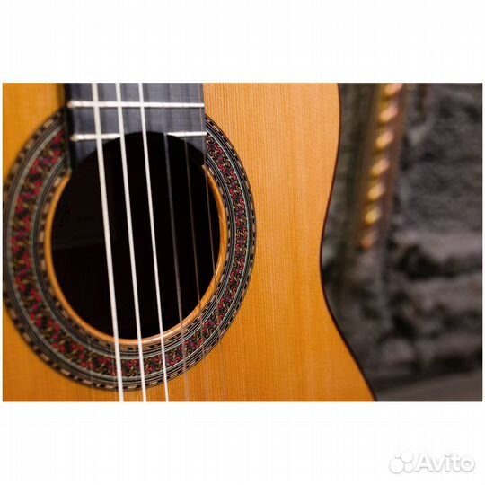 Классическая гитара Perez 640 Cedar