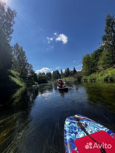 Аренда прокат сапбордов Sup Board