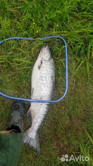 Рыболовные туры Камчатка