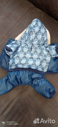 Одежда для маленьких собак