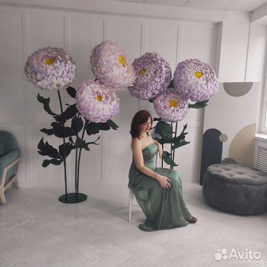 Ростовые пионы