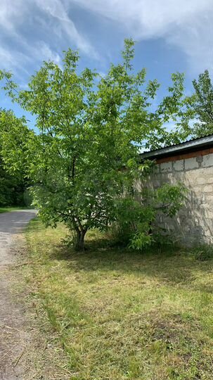 Дом 146 м² на участке 13 сот.