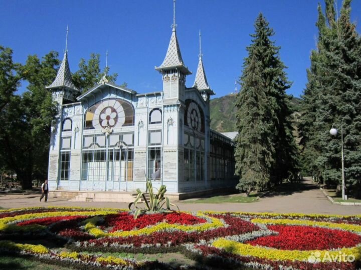 Тур кавминводы + Чечня
