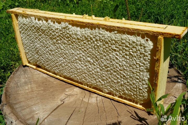 Мед в сотах