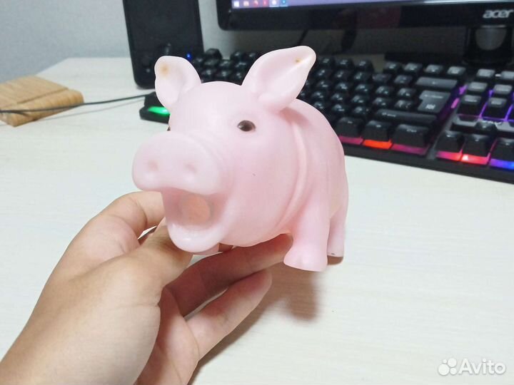 Хрюкающая свинья