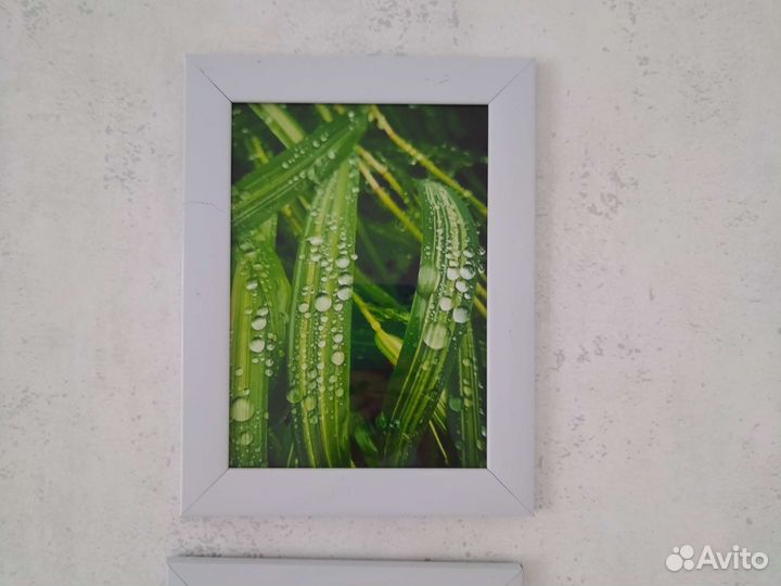 Картины и постеры