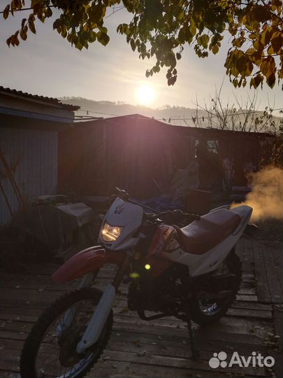 Эндуро irbis ttr250r