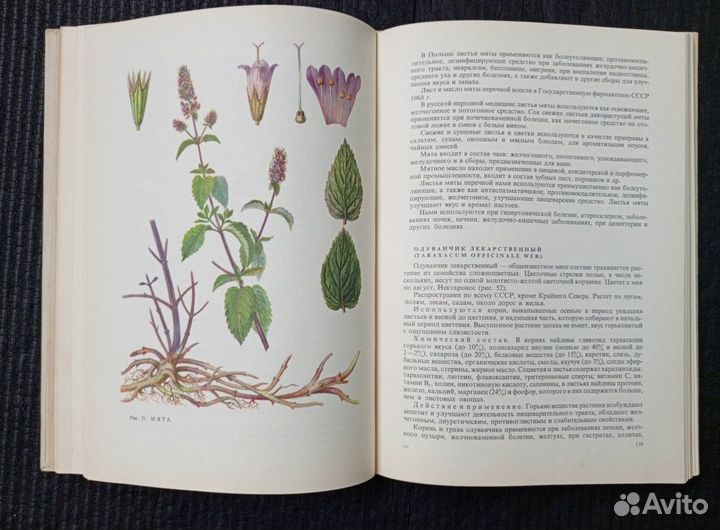 Книга. Лечение растениями. Очерки по фитотерапии