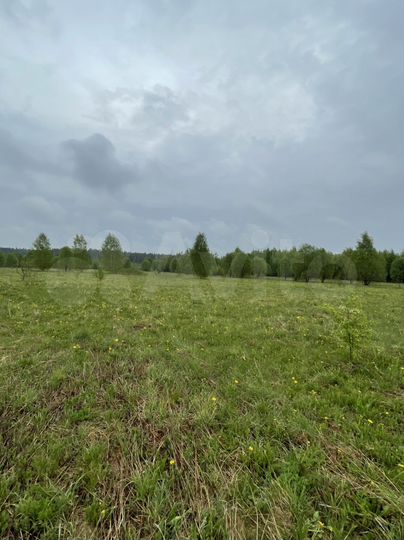 Участок 2,95 га (СНТ, ДНП)