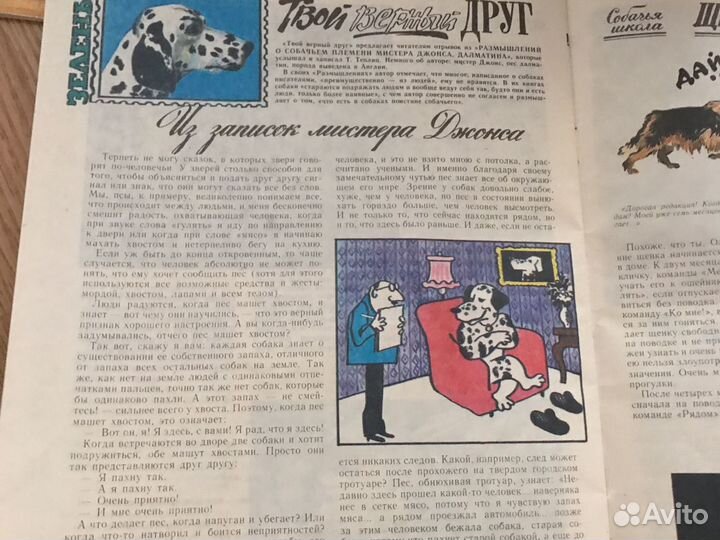 Журнал костер