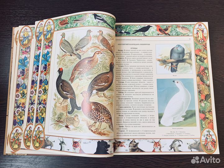 Настольная книга охотника, под ред. Бутромеева