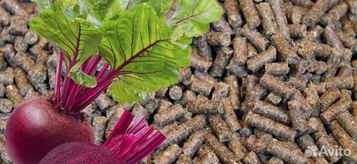 Меласса свекловичная/патока/жом свекловичный