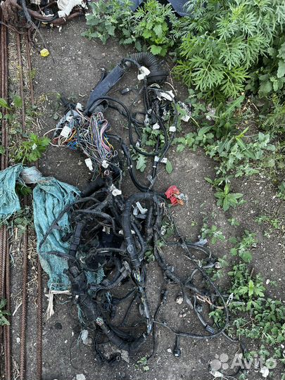 Проводка моторного отсека Мазда 6 gj