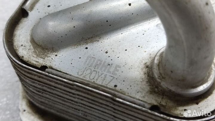 Радиатор масляный Toyota Camry 70 M20afks 2021