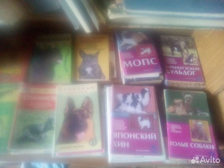 Книги по собачкам и кошечкам и другим животным