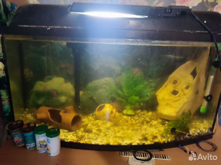 Аквариум на 120 литров
